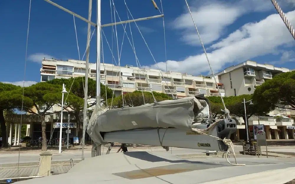 slider 13 Delphia  34