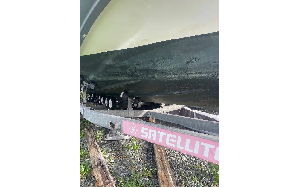 slider 16 Beluga  21 Superpro