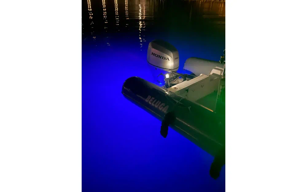 slider 1 Beluga  21 Superpro