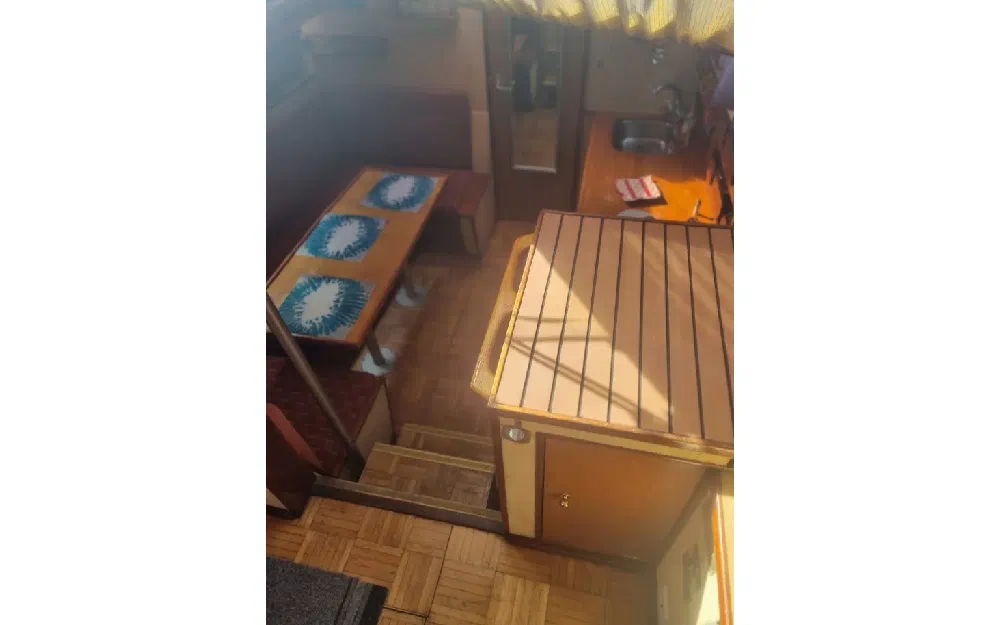 slider 2 Vedette Hollandaise Acier