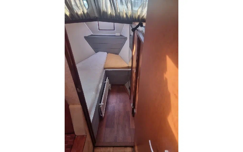 slider 4 Vedette Hollandaise Acier