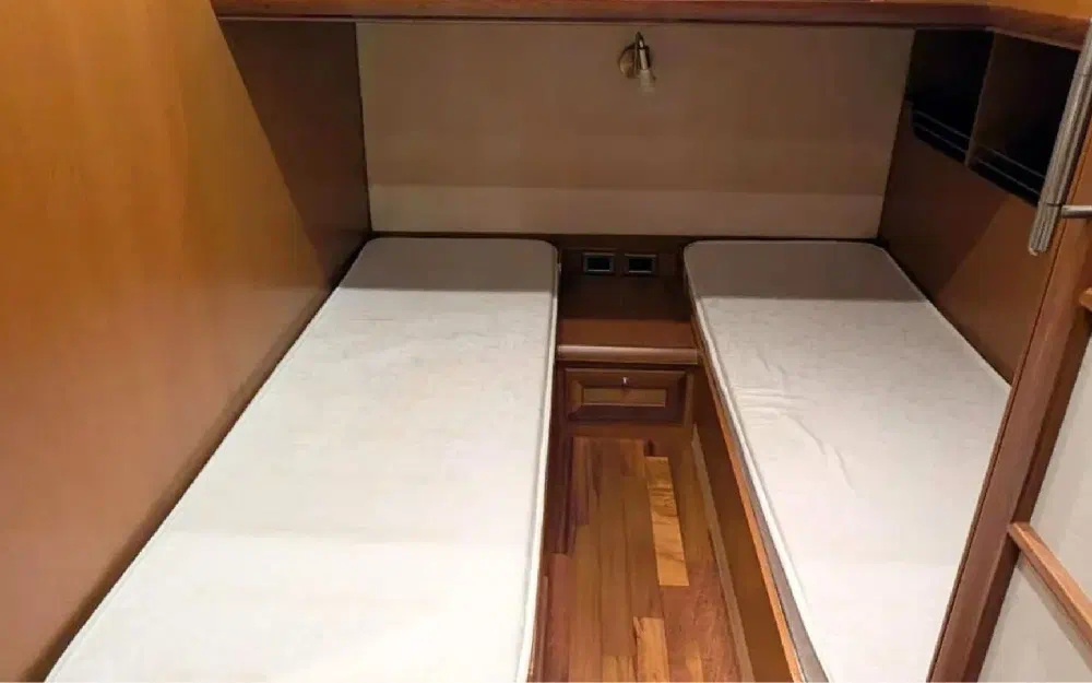 slider 14 Mochi Dolphin 51