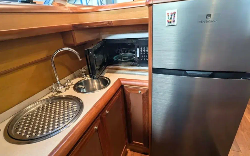 slider 9 Mochi Dolphin 51