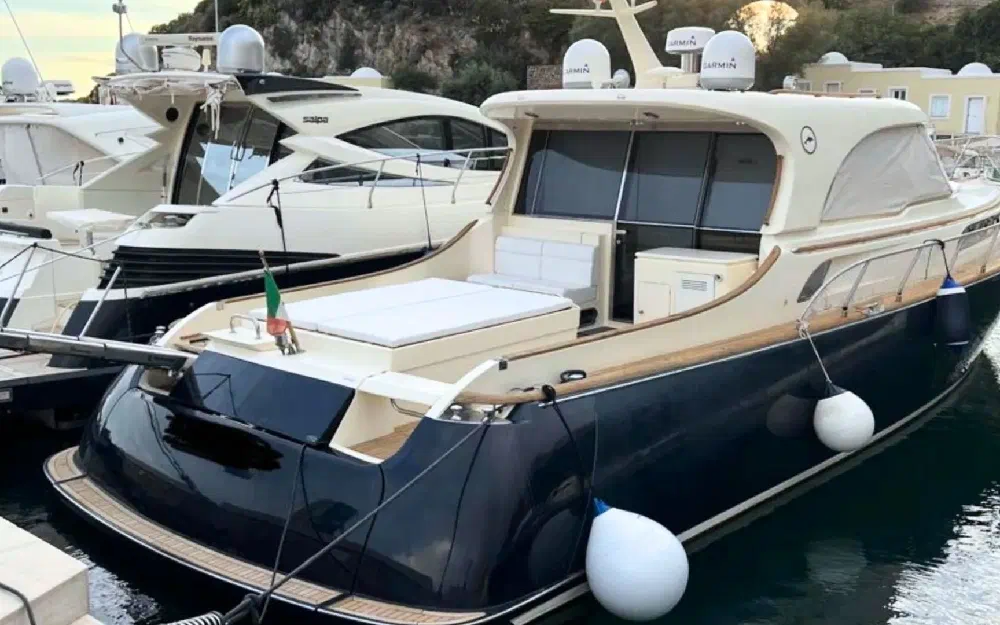 slider 2 Mochi Dolphin 51