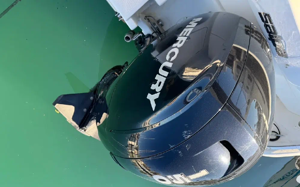 slider 9 Salpa Laver 20.5