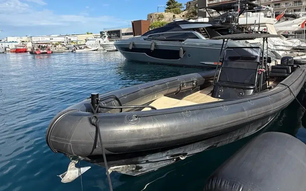 slider 0 Rayglass PROTECTOR 410 CHASE