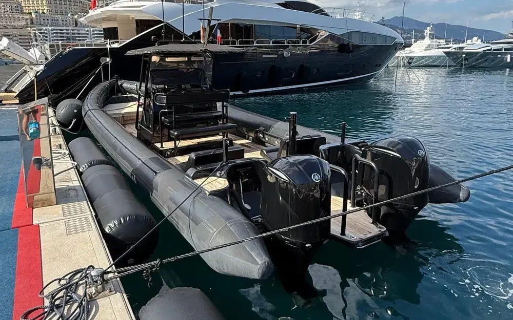 slider 1 Rayglass PROTECTOR 410 CHASE