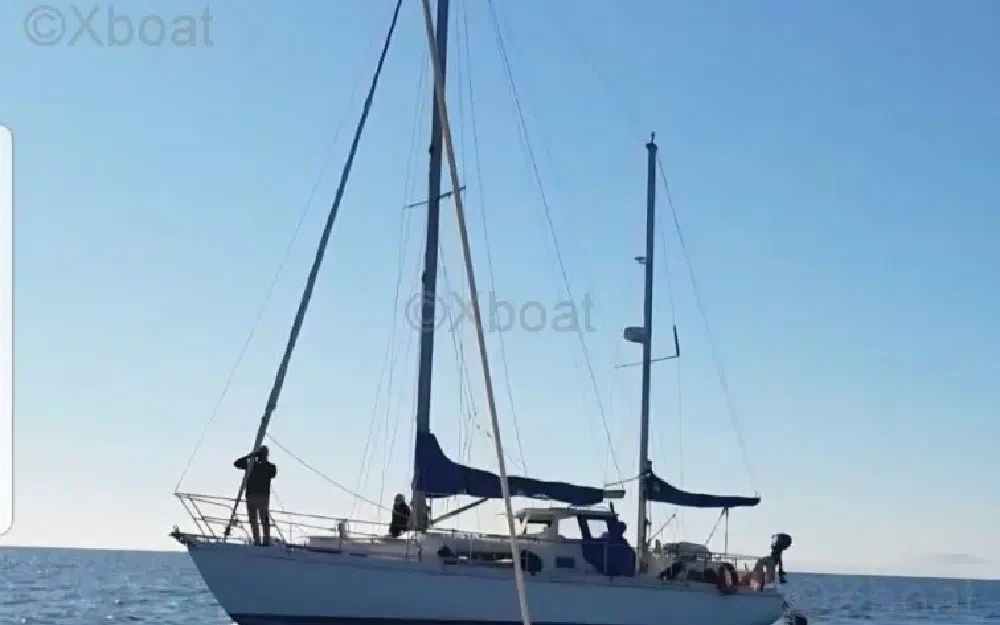 slider 1 Amel Euros 41