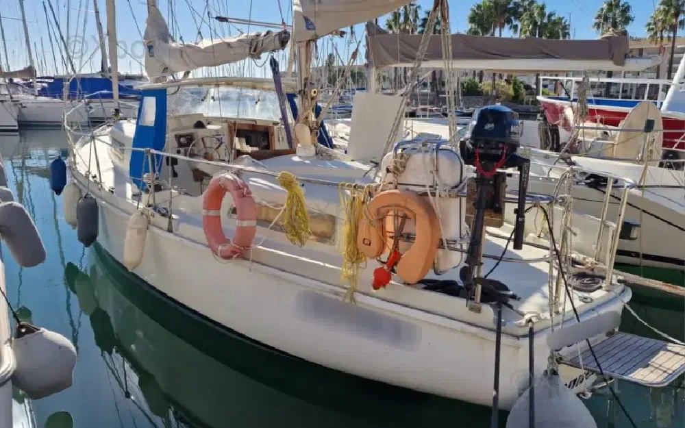 slider 4 Amel Euros 41