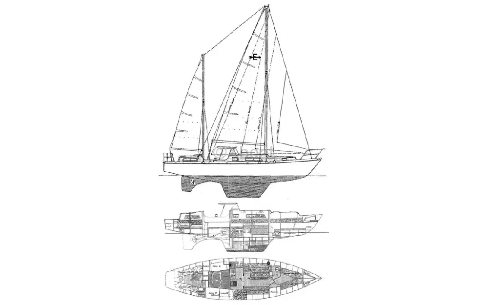 slider 6 Amel Euros 41