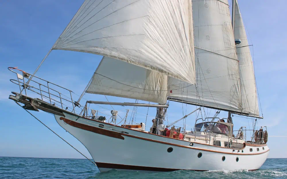 slider 0 Blue Water Vagabond 47