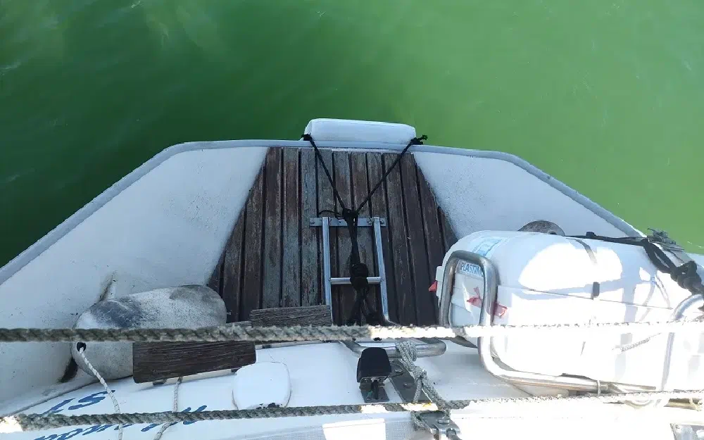 slider 21 Jeanneau Sun Shine 36