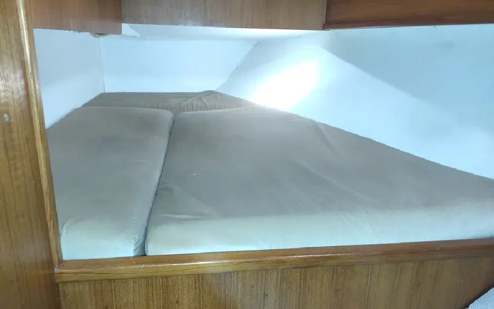 slider 56 Jeanneau Sun Shine 36