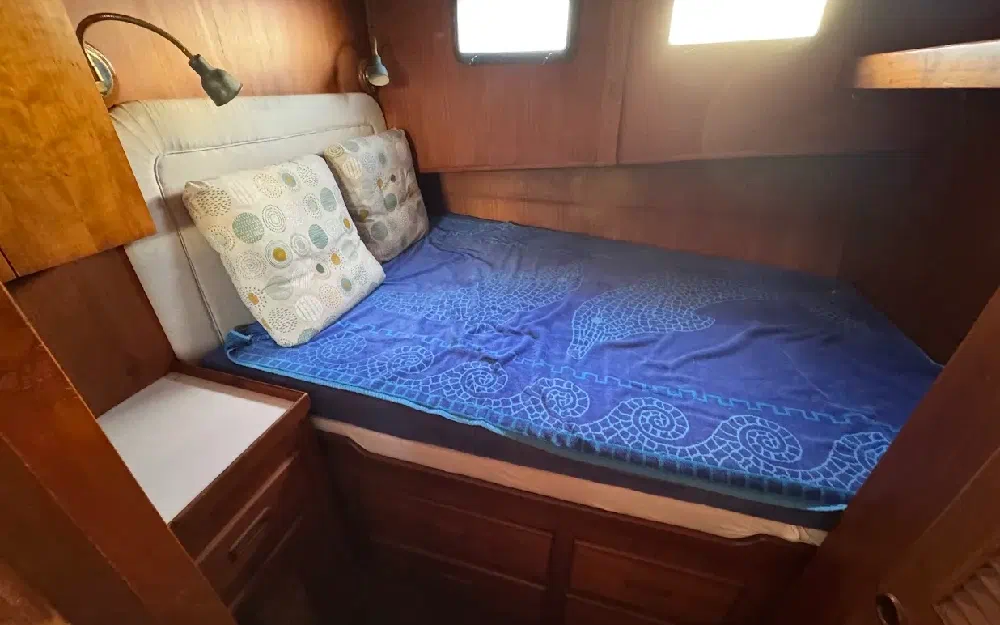 slider 9 Litton  38 Europa