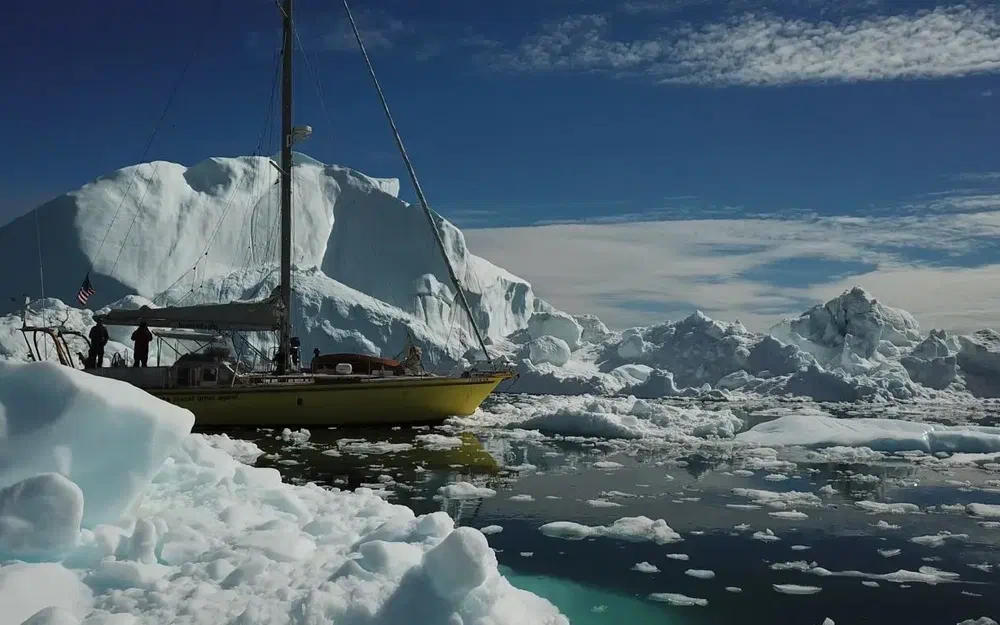 slider 1 One Off ONE OFF 51