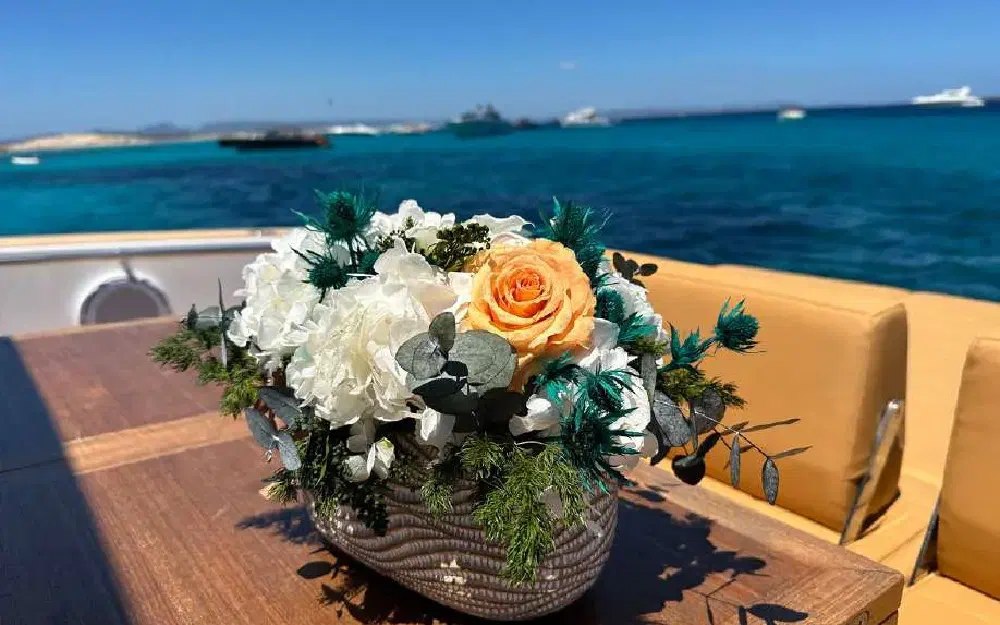 slider 15 Pardo Yachts Pardo 43