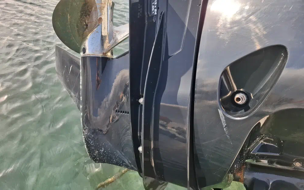 slider 14 Quicksilver Activ 755 Sundeck