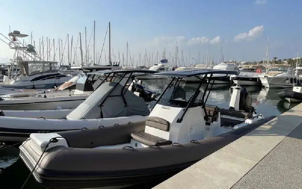 slider 3 Brig Eagle 8