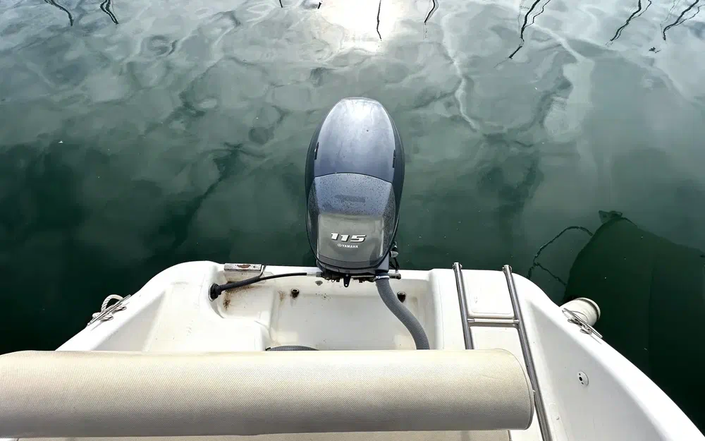 slider 12 Sessa Marine Dorado 22