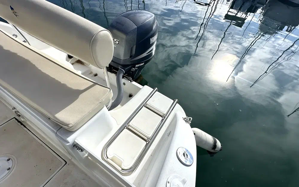 slider 13 Sessa Marine Dorado 22