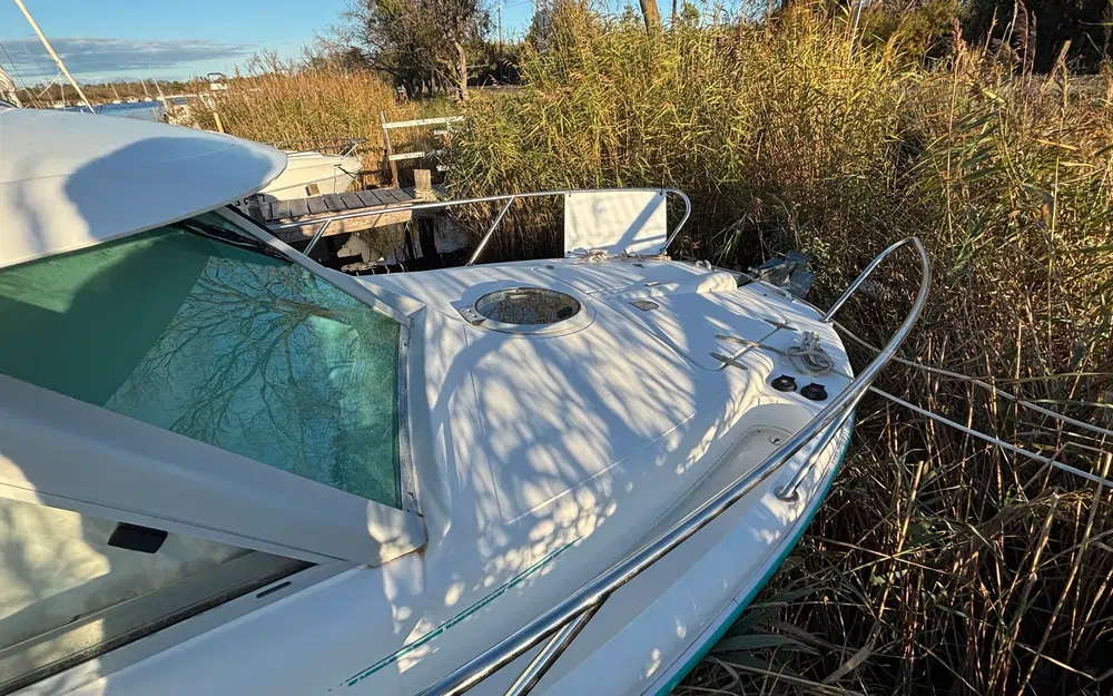 slider 2 Ocqueteau  695 Timonier