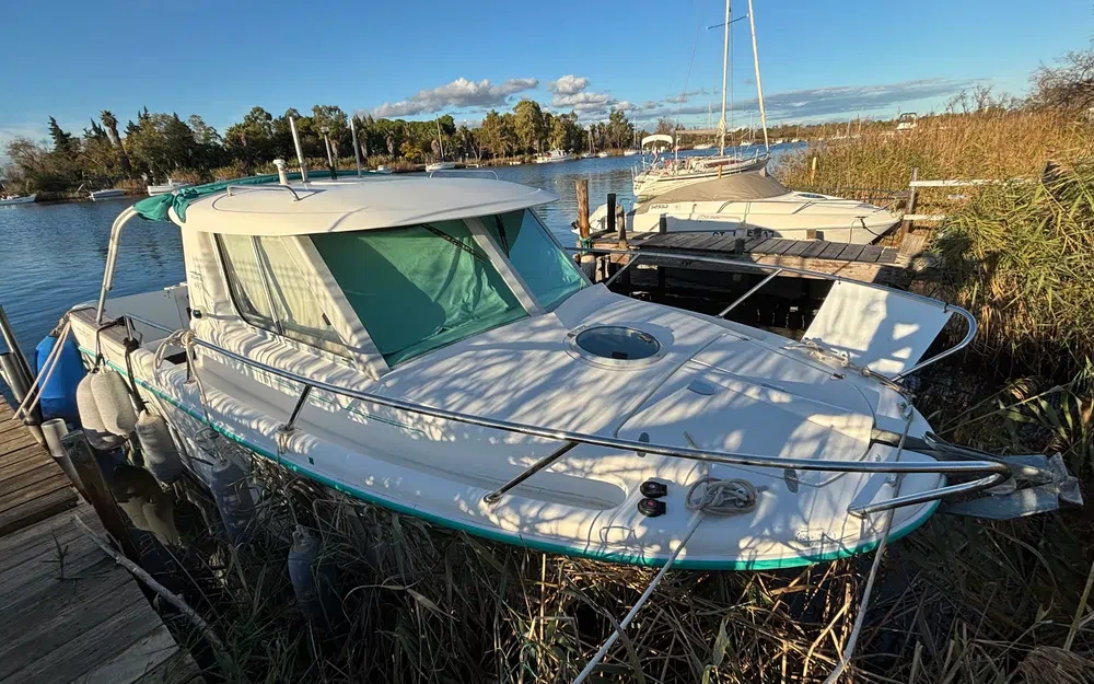 slider 1 Ocqueteau  695 Timonier