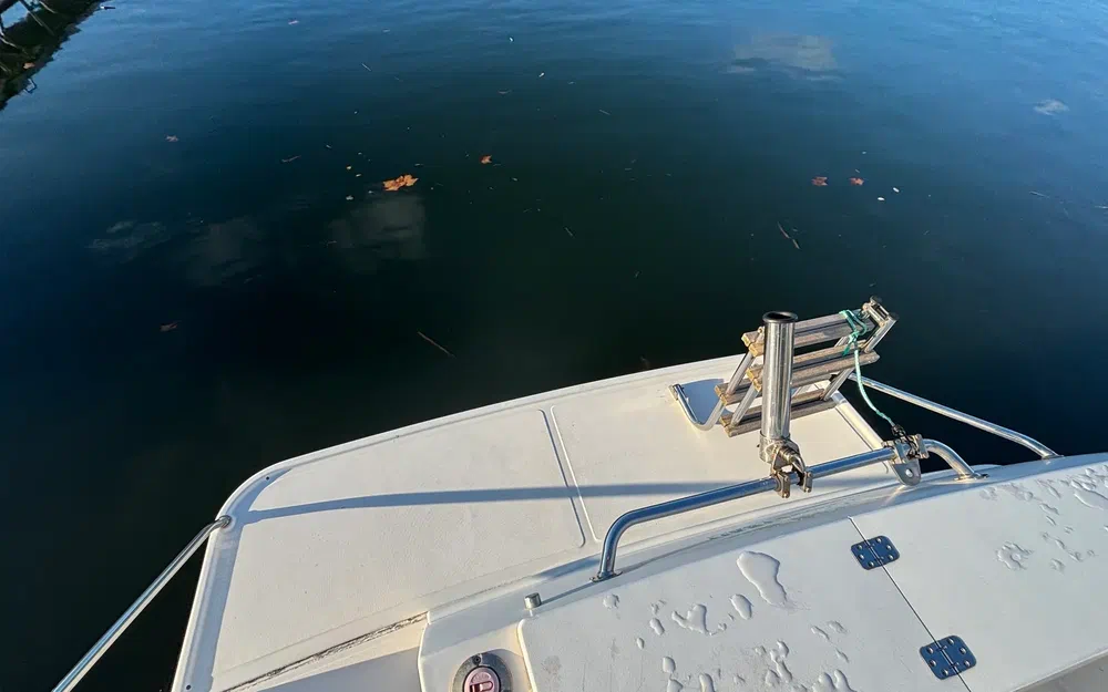 slider 7 Ocqueteau  695 Timonier