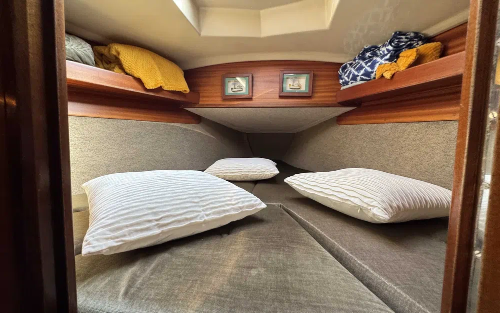 slider 19 Contest Yachts Contest 38