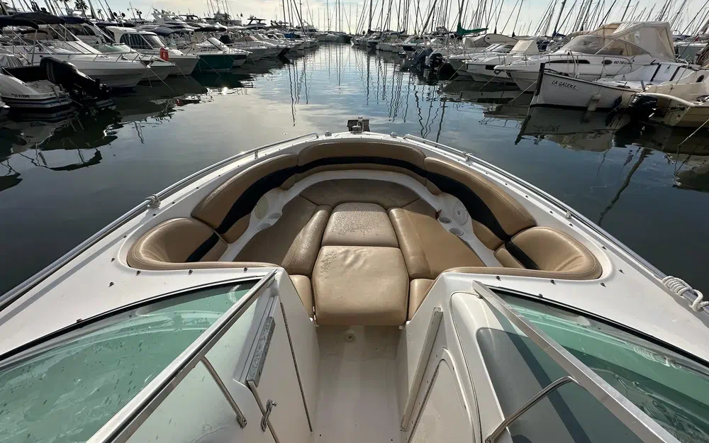 slider 11 Chaparral  260 SSi