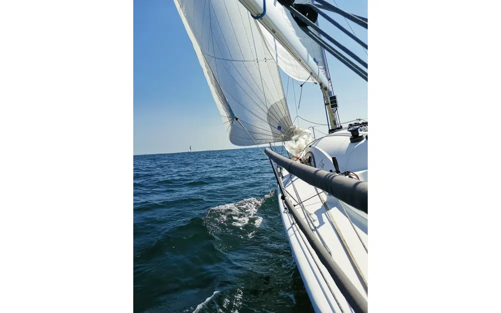 slider 7 Archambault  A31