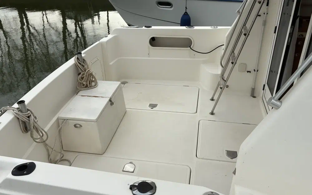 slider 6 Rodman  900 Fly