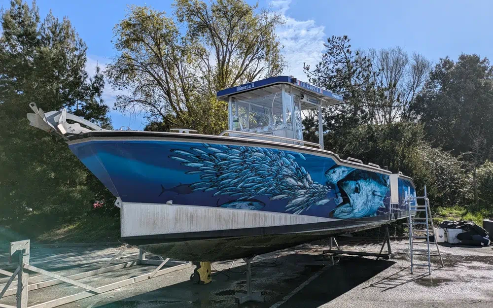 slider 15 Amares 865