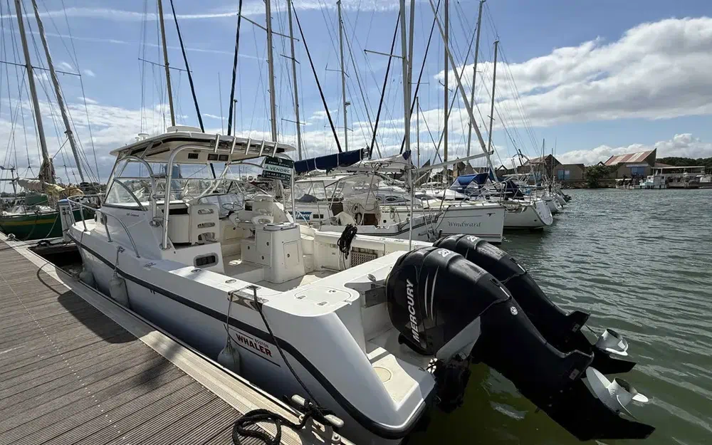 slider 14 Boston Whaler  305 Conquest