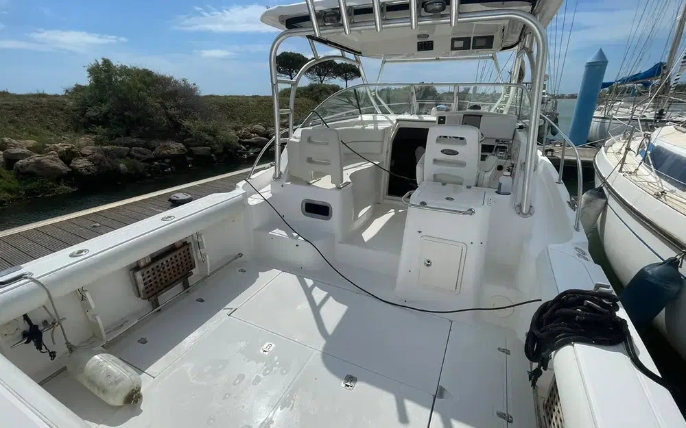 slider 2 Boston Whaler  305 Conquest
