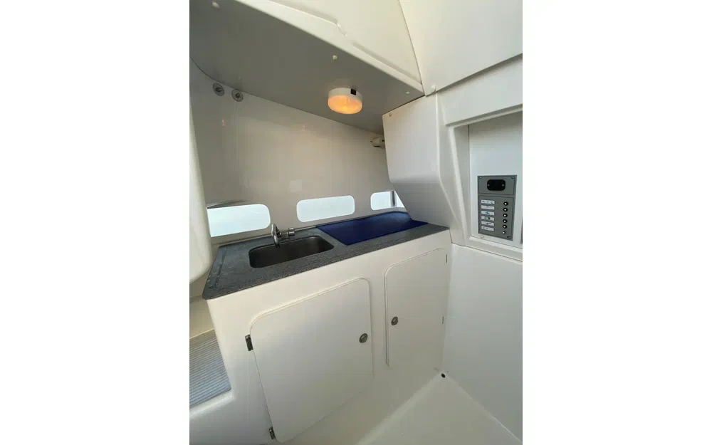 slider 11 White Shark  298