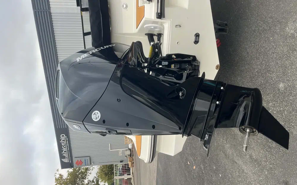 slider 10 Bayliner V20