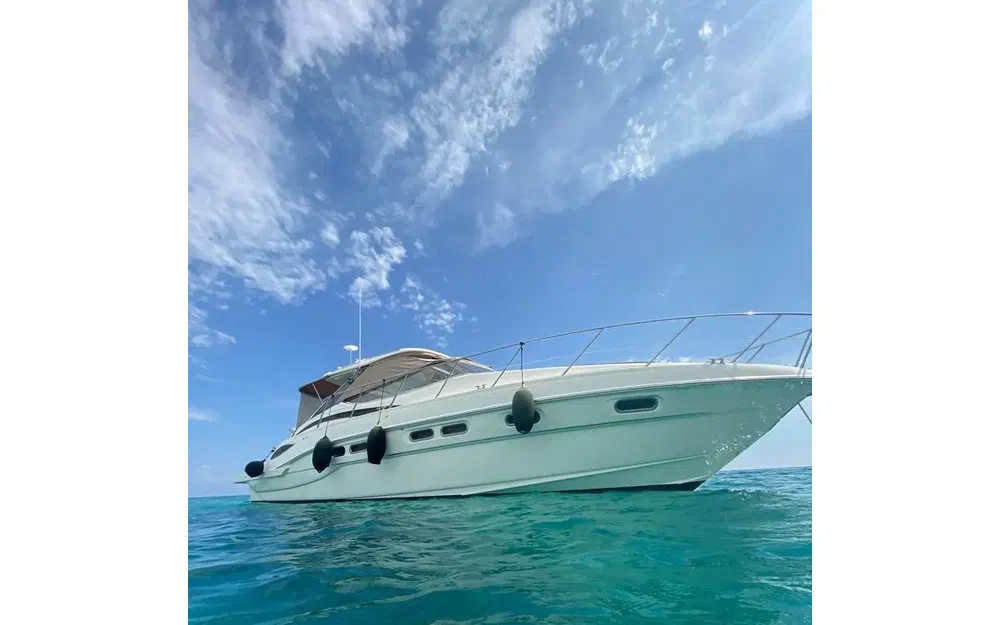 SealineSealine S 43