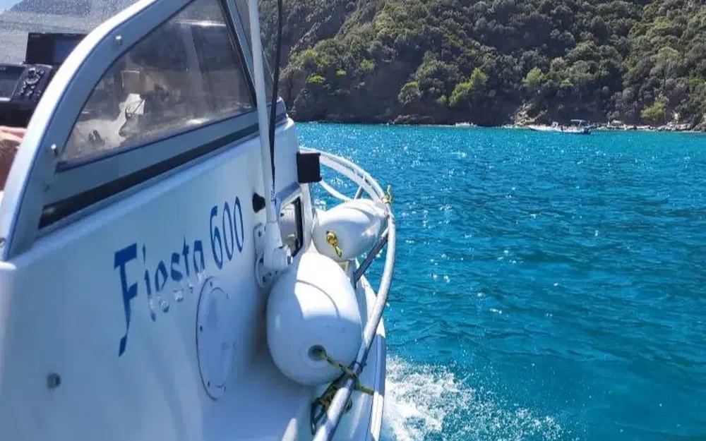 slider 9 Drago Fiesta 600