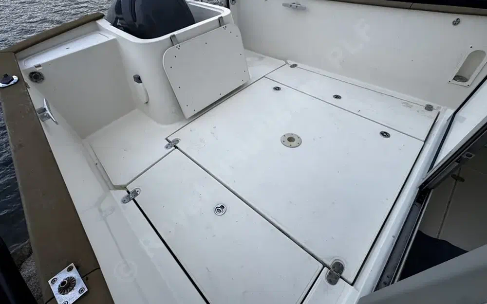 slider 9 Rhea  730 Fishing