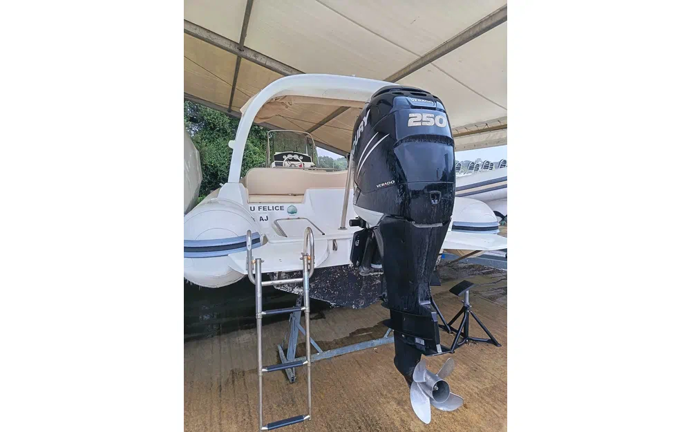 slider 19 Black Fin 25