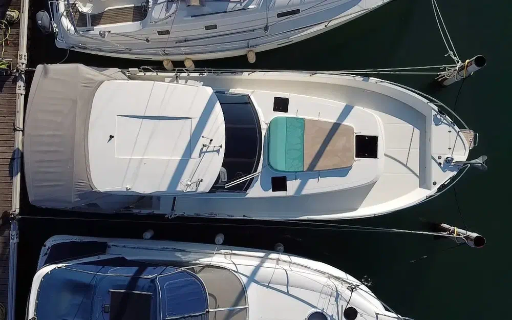 slider 0 Delphia  1100