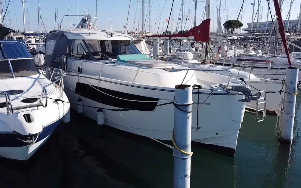 slider 1 Delphia  1100