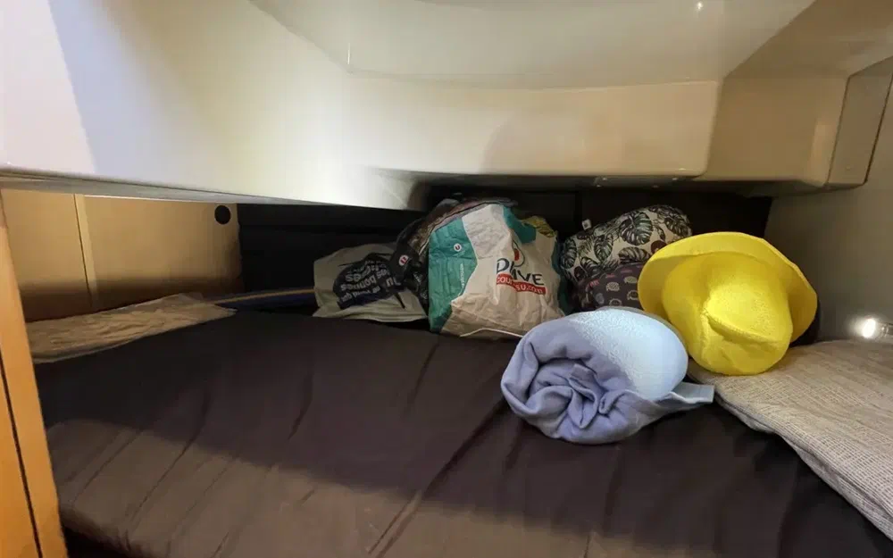 slider 19 Delphia  1100