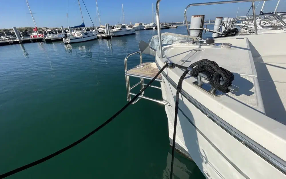 slider 20 Delphia  1100