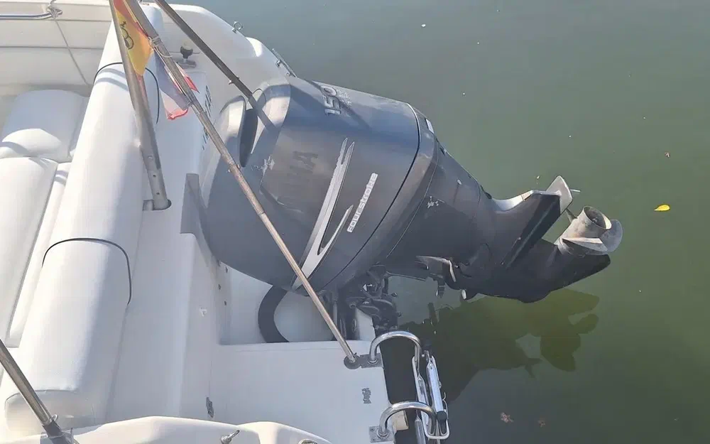 slider 29 Kelt Azura 570 WA