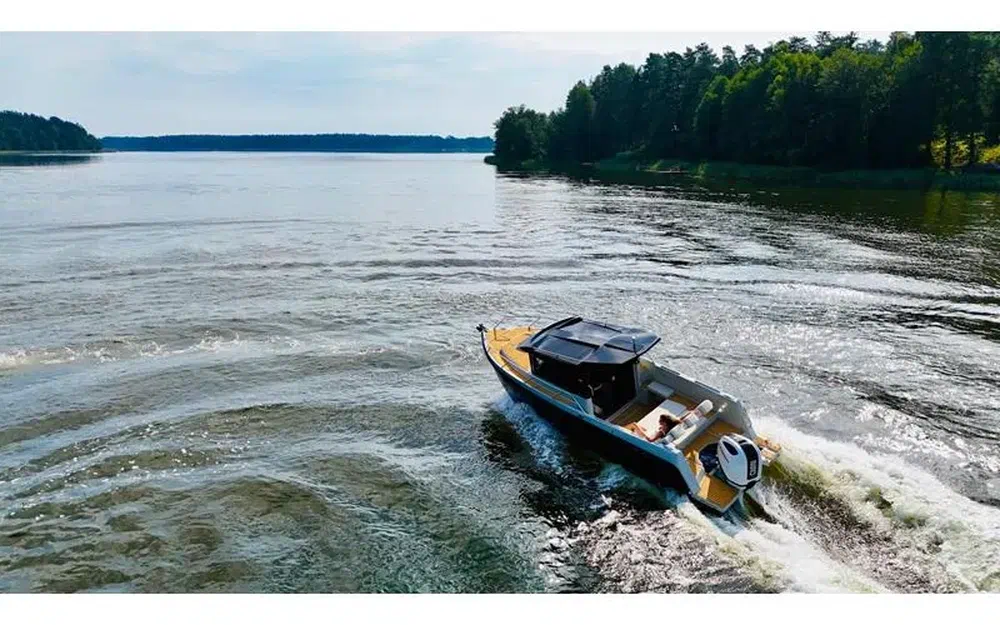 slider 11 Texas  775 Timonier