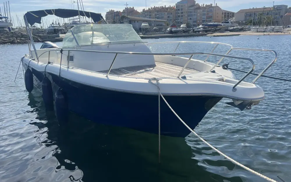 slider 0 White Shark  268