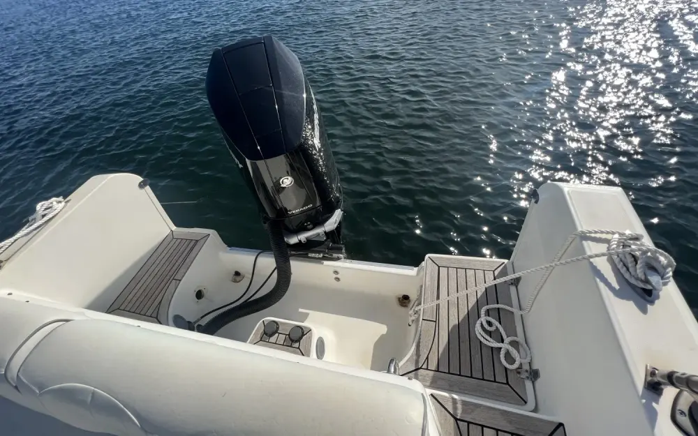 slider 11 White Shark  268