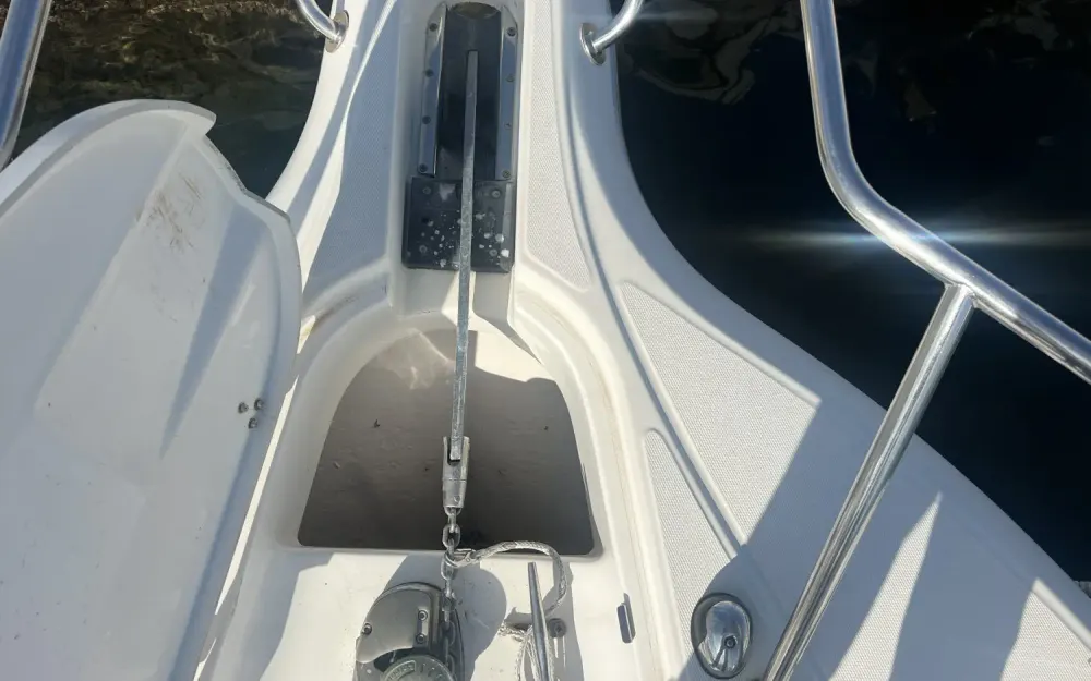 slider 12 White Shark  268