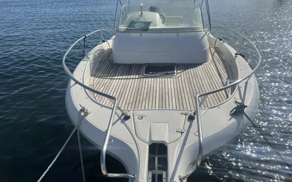 slider 1 White Shark  268